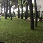 Bellevue Hotel&resort 4*