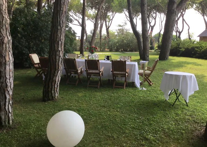 Bellevue Hotel&resort Hotel 4*