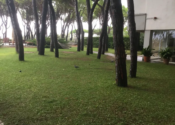 Bellevue Hotel&resort 4*