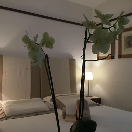 ホテル Bellevue & 4*