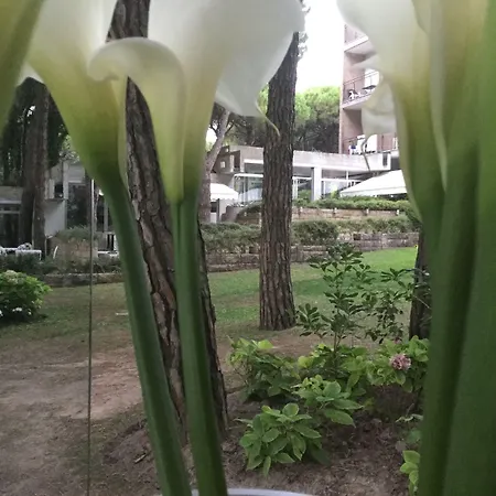 Bellevue & ホテル リド・ディ・イエゾロ