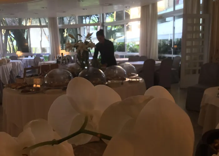 Bellevue & Hotell 4*