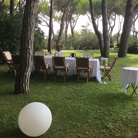 Bellevue Hotel&resort Hotel 4*