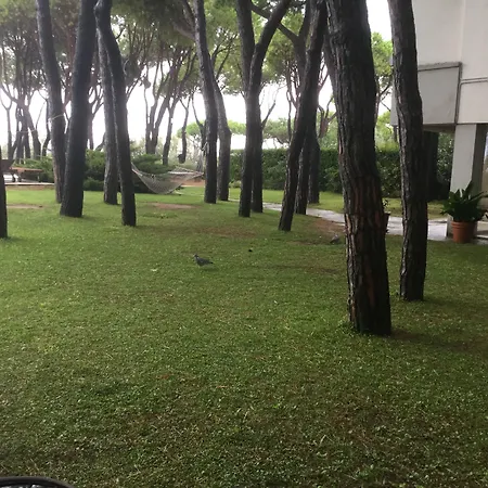 Bellevue Hotel&resort 4*