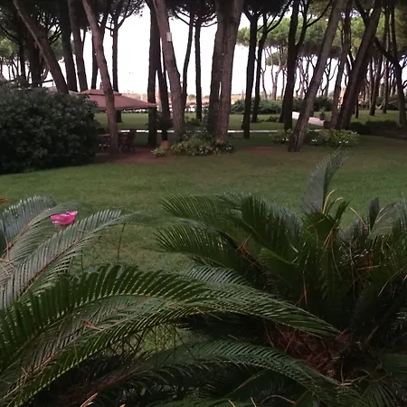 Bellevue Hotel&resort 4*