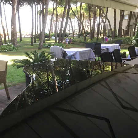 Bellevue Hotel&resort Hotel 4*