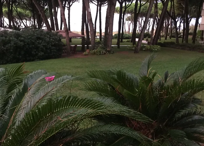 Bellevue Hotel&resort 4*