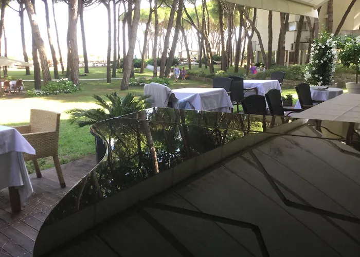 Bellevue Hotel&resort Hotel 4*