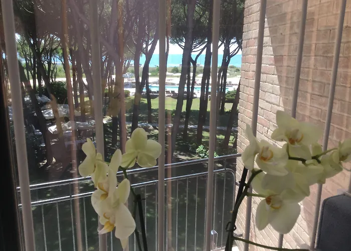 Bellevue Hotel&resort 4*
